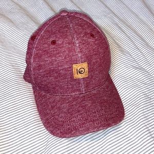 Tentree fitted knit hat